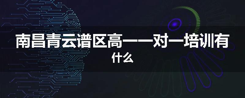 南昌青云谱区高一一对一培训有什么