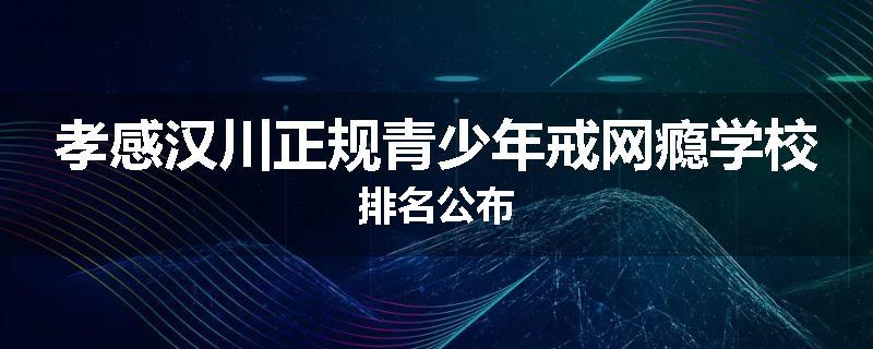 孝感汉川正规青少年戒网瘾学校排名公布