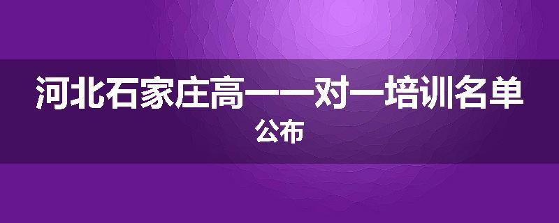 河北石家庄高一一对一培训名单公布