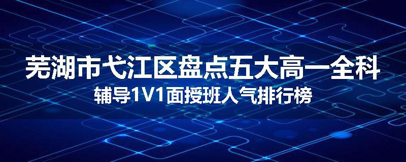 芜湖市弋江区盘点五大高一全科辅导1V1面授班人气排行榜