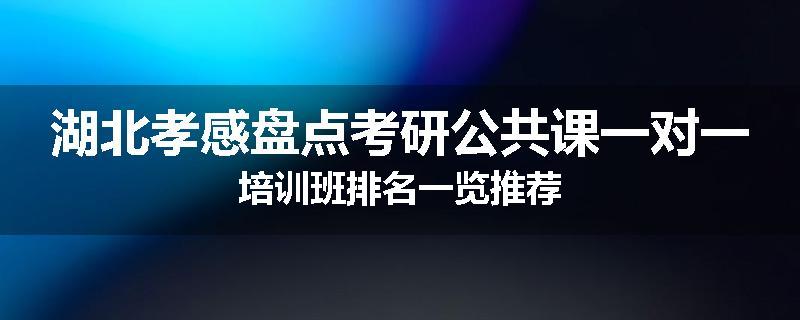 湖北孝感盘点考研公共课一对一培训班排名一览推荐