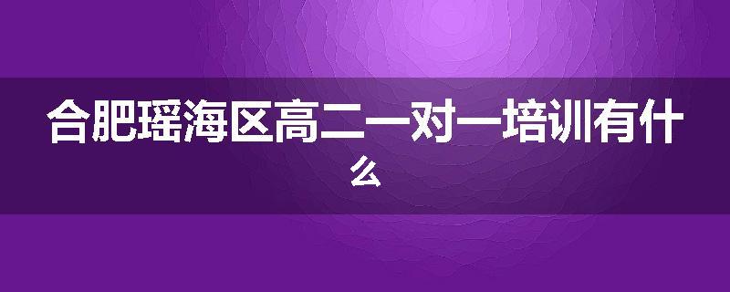 合肥瑶海区高二一对一培训有什么