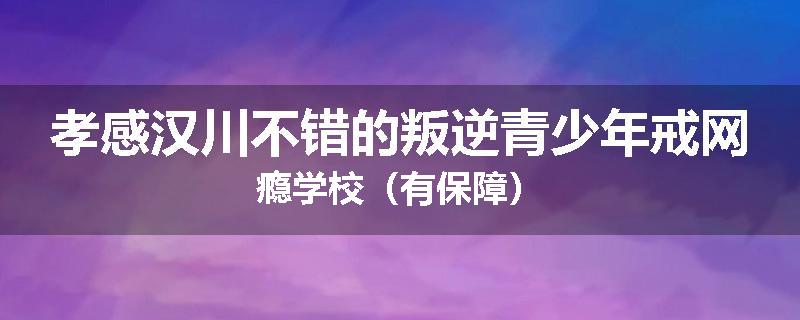 孝感汉川不错的叛逆青少年戒网瘾学校（有保障）