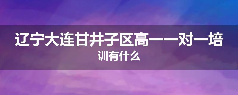 辽宁大连甘井子区高一一对一培训有什么