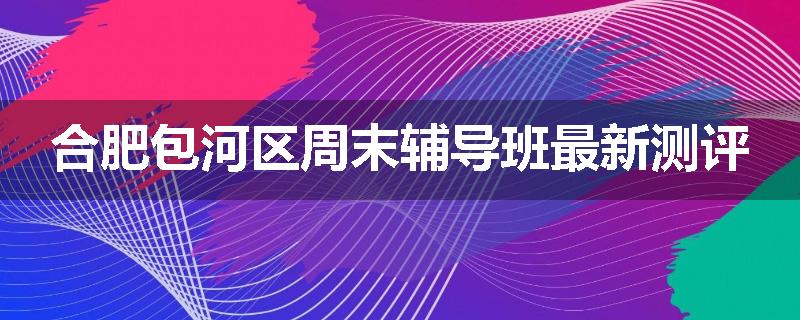 合肥包河区周末辅导班最新测评