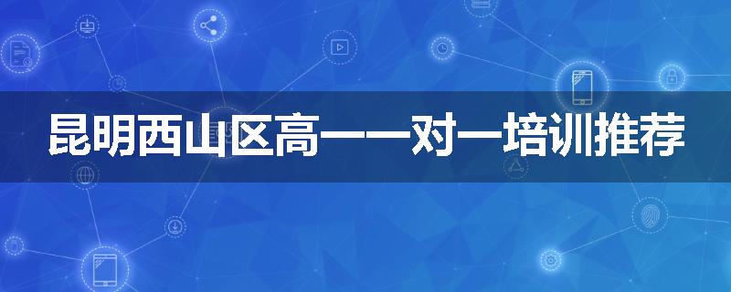 昆明西山区高一一对一培训推荐