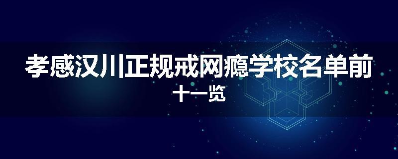 孝感汉川正规戒网瘾学校名单前十一览