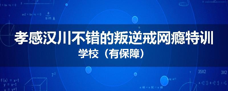 孝感汉川不错的叛逆戒网瘾特训学校（有保障）