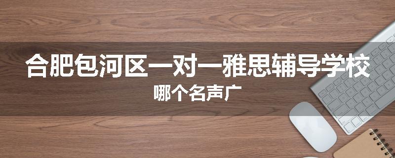 合肥包河区一对一雅思辅导学校哪个名声广
