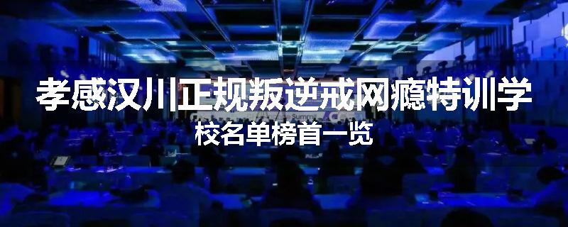 孝感汉川正规叛逆戒网瘾特训学校名单榜首一览