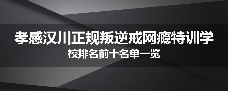 孝感汉川正规叛逆戒网瘾特训学校排名前十名单一览