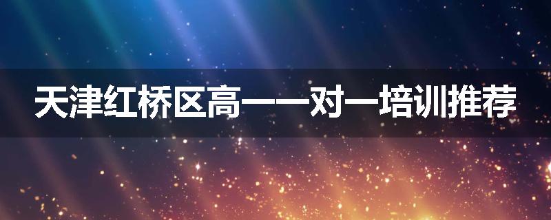 天津红桥区高一一对一培训推荐