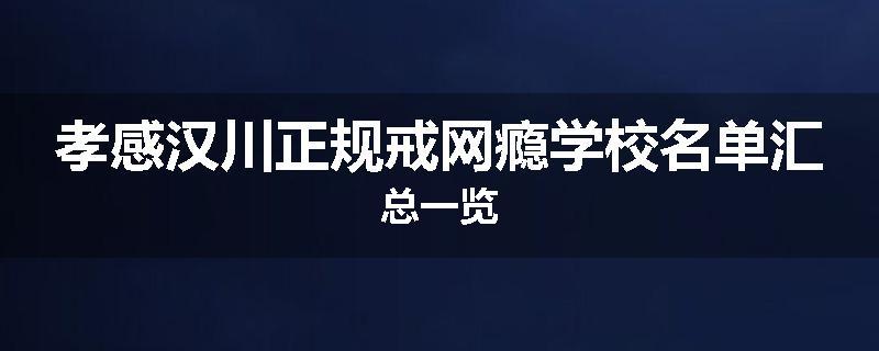 孝感汉川正规戒网瘾学校名单汇总一览