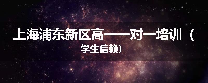上海浦东新区高一一对一培训（学生信赖）