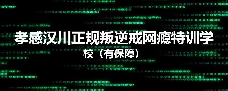 孝感汉川正规叛逆戒网瘾特训学校(有保障)