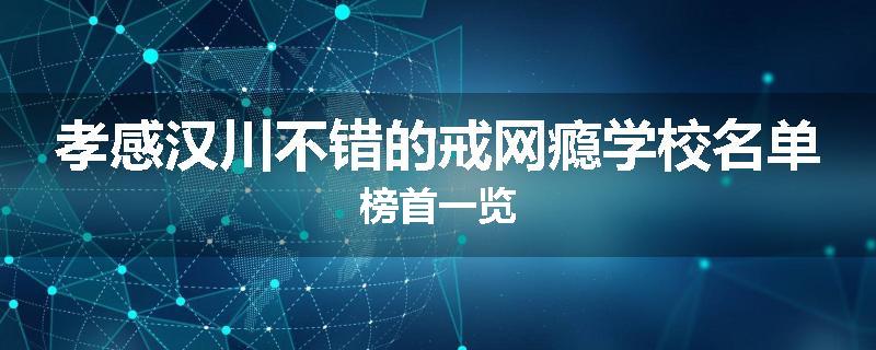 孝感汉川不错的戒网瘾学校名单榜首一览