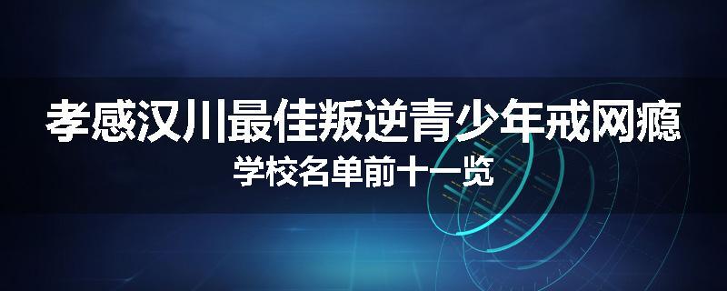 孝感汉川最佳叛逆青少年戒网瘾学校名单前十一览