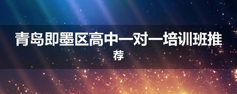 青岛即墨区高中一对一培训班推荐
