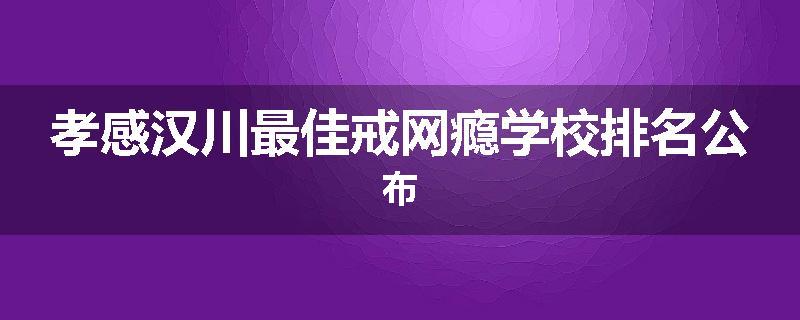 孝感汉川最佳戒网瘾学校排名公布