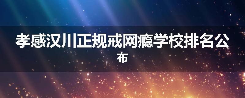孝感汉川正规戒网瘾学校排名公布