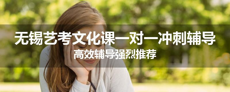 无锡艺考文化课一对一冲刺辅导高效辅导强烈推荐