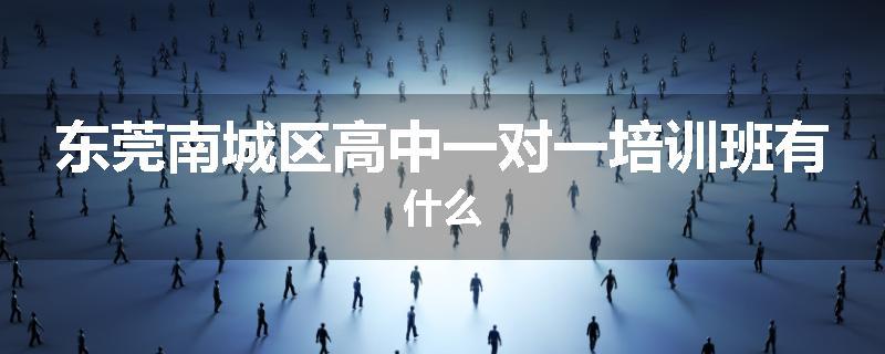 东莞南城区高中一对一培训班有什么