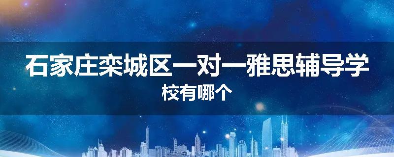 石家庄栾城区一对一雅思辅导学校有哪个