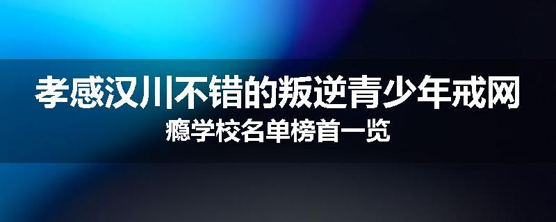 孝感汉川不错的叛逆青少年戒网瘾学校名单榜首一览