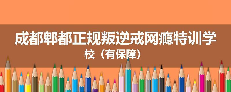 成都郫都正规叛逆戒网瘾特训学校（有保障）