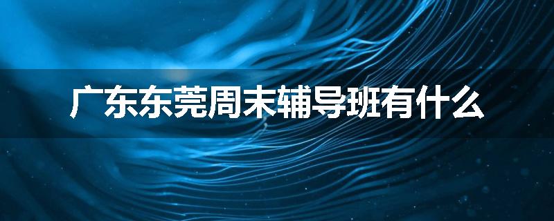 广东东莞周末辅导班有什么
