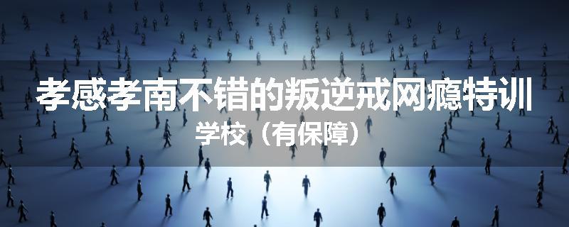 孝感孝南不错的叛逆戒网瘾特训学校（有保障）