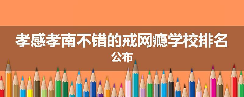 孝感孝南不错的戒网瘾学校排名公布