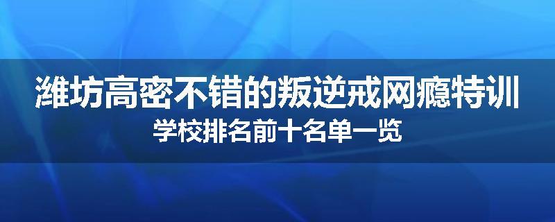 潍坊高密不错的叛逆戒网瘾特训学校排名前十名单一览