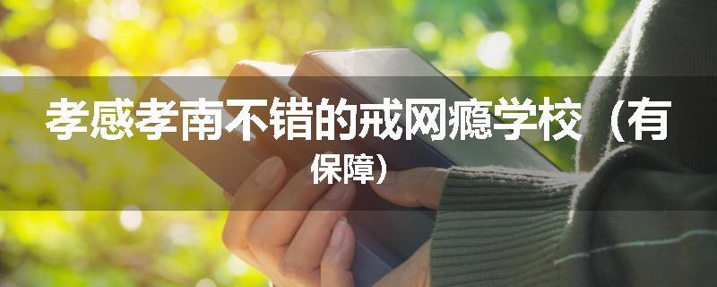 孝感孝南不错的戒网瘾学校（有保障）