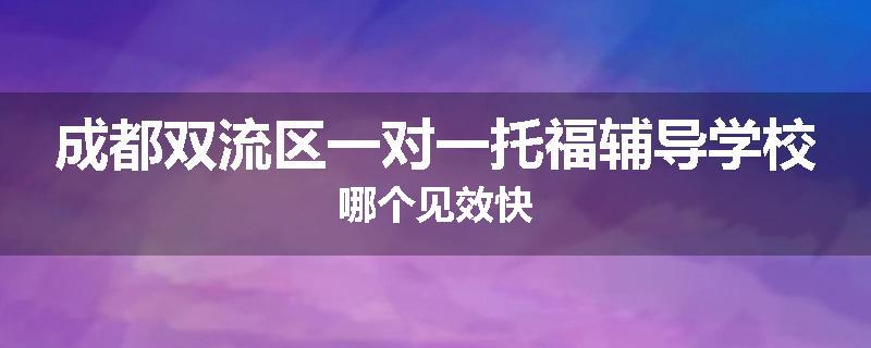 成都双流区一对一托福辅导学校哪个见效快