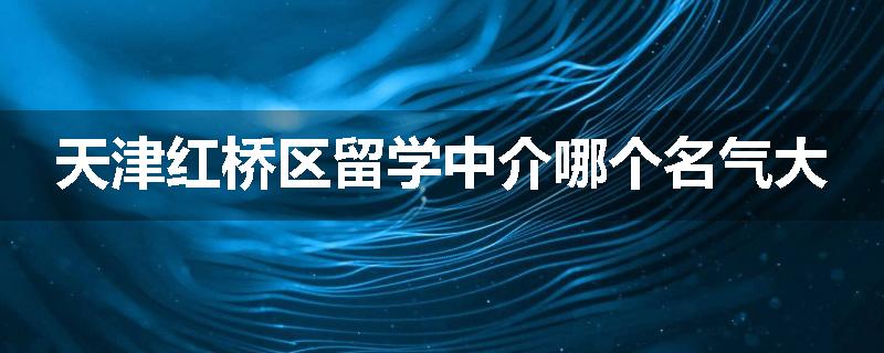 天津红桥区留学中介哪个名气大