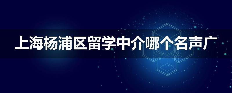 上海杨浦区留学中介哪个名声广