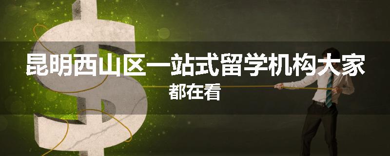昆明西山区一站式留学机构大家都在看