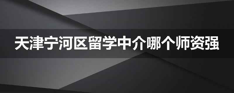 天津宁河区留学中介哪个师资强