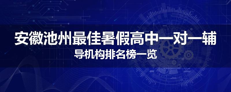 安徽池州最佳暑假高中一对一辅导机构排名榜一览