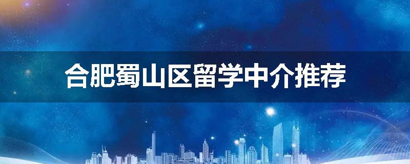 合肥蜀山区留学中介推荐