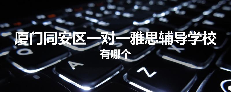 厦门同安区一对一雅思辅导学校有哪个