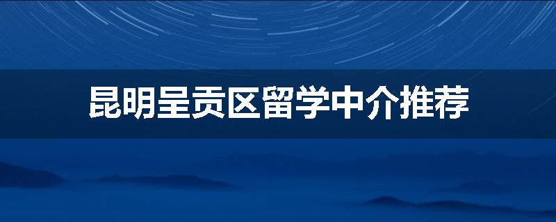昆明呈贡区留学中介推荐