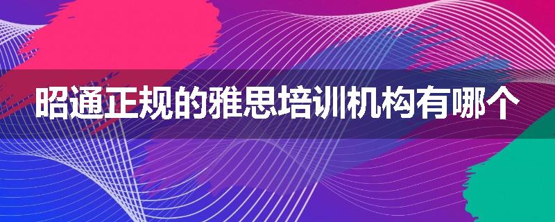 昭通正规的雅思培训机构有哪个