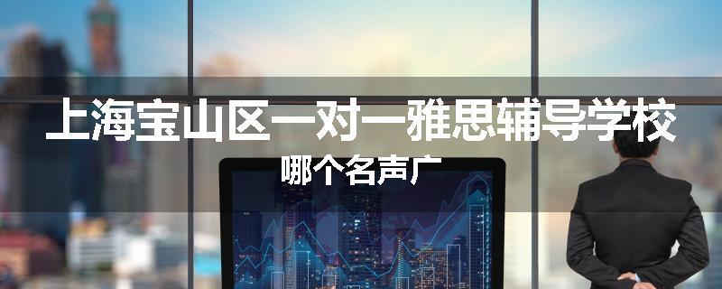 上海宝山区一对一雅思辅导学校哪个名声广