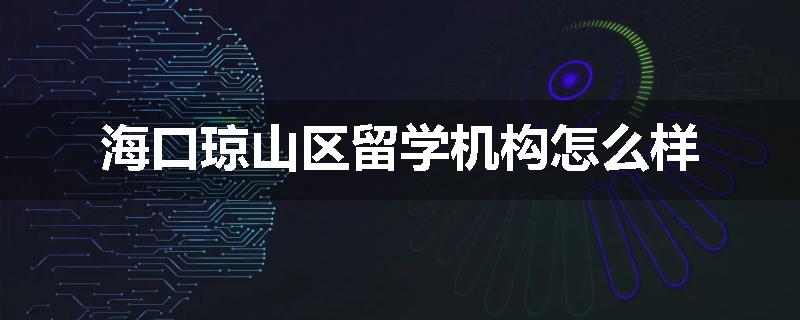 海口琼山区留学机构怎么样