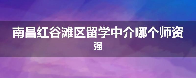 南昌红谷滩区留学中介哪个师资强
