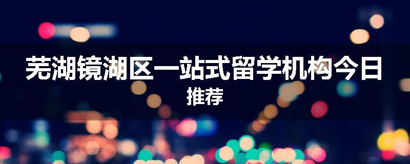 芜湖镜湖区一站式留学机构今日推荐