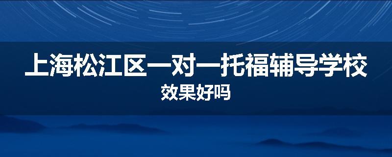 上海松江区一对一托福辅导学校效果好吗