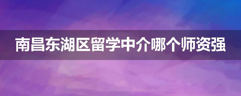 南昌东湖区留学中介哪个师资强